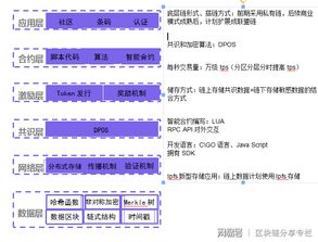 马云 区块链技术将致力于打假